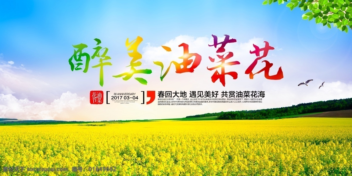 最美油菜花 乡村海报 乡村展板 油菜花 田野 展板 展板模板