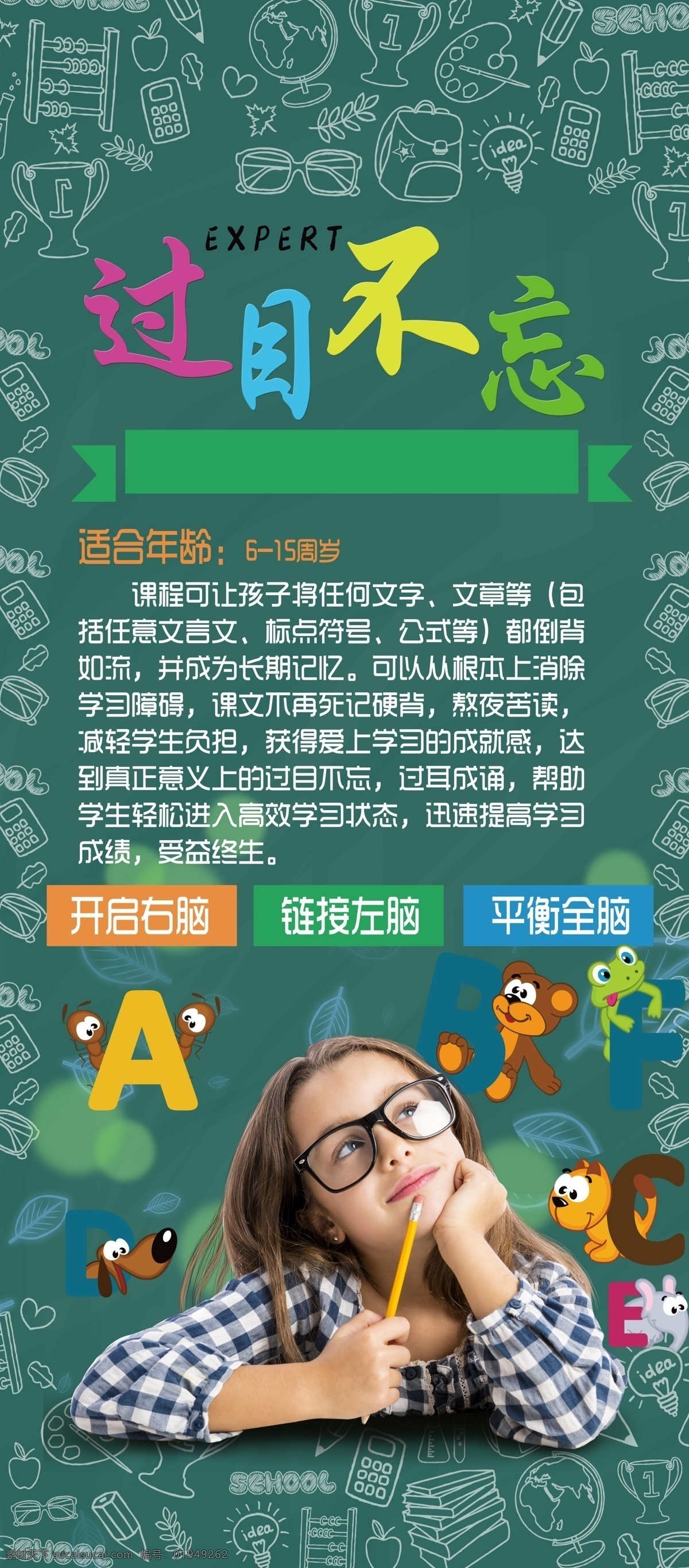 全脑教育展架 过目不忘 超强大脑 全脑教育 全脑 展架 分层