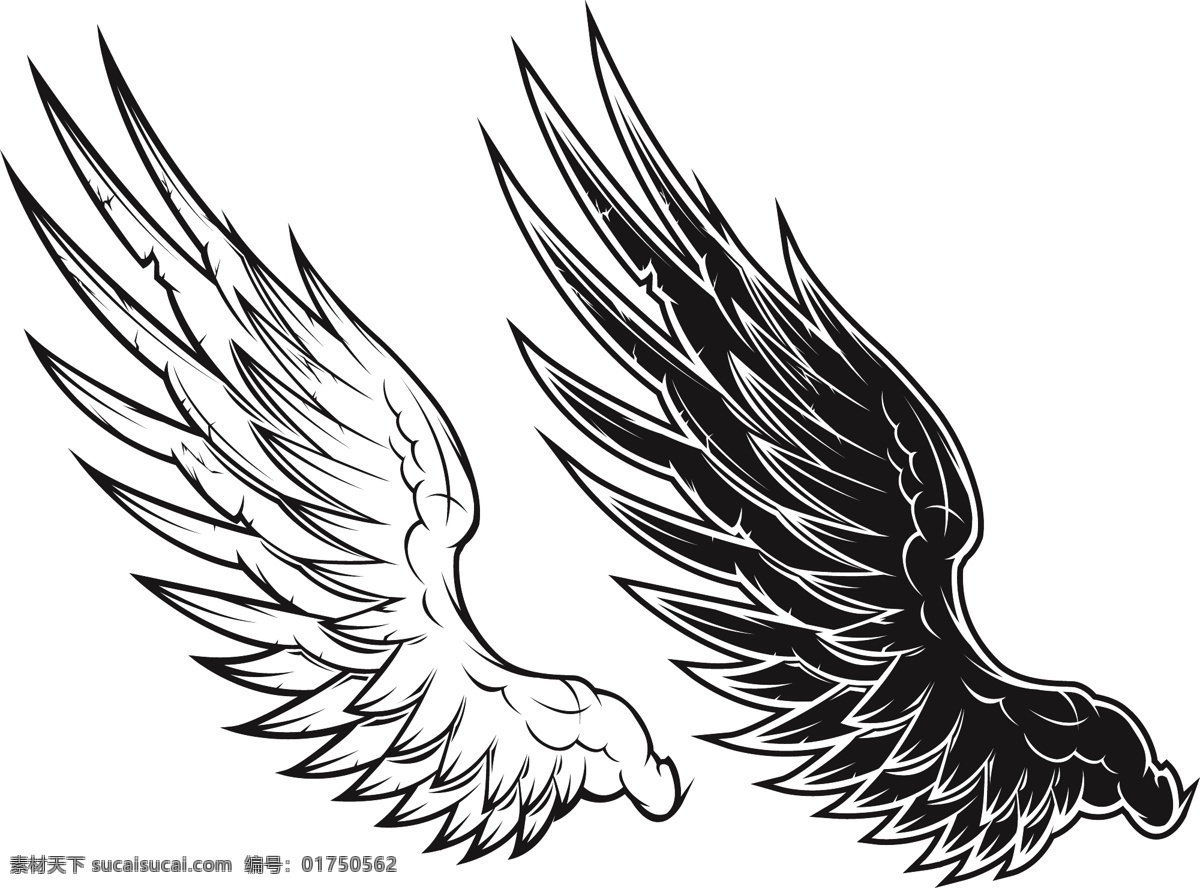 黑色 白色 翅膀 矢量 黑色和白色 黑色的白色 白色的翅膀 翅膀的黑色 标志 向量 矢量图 其他矢量图