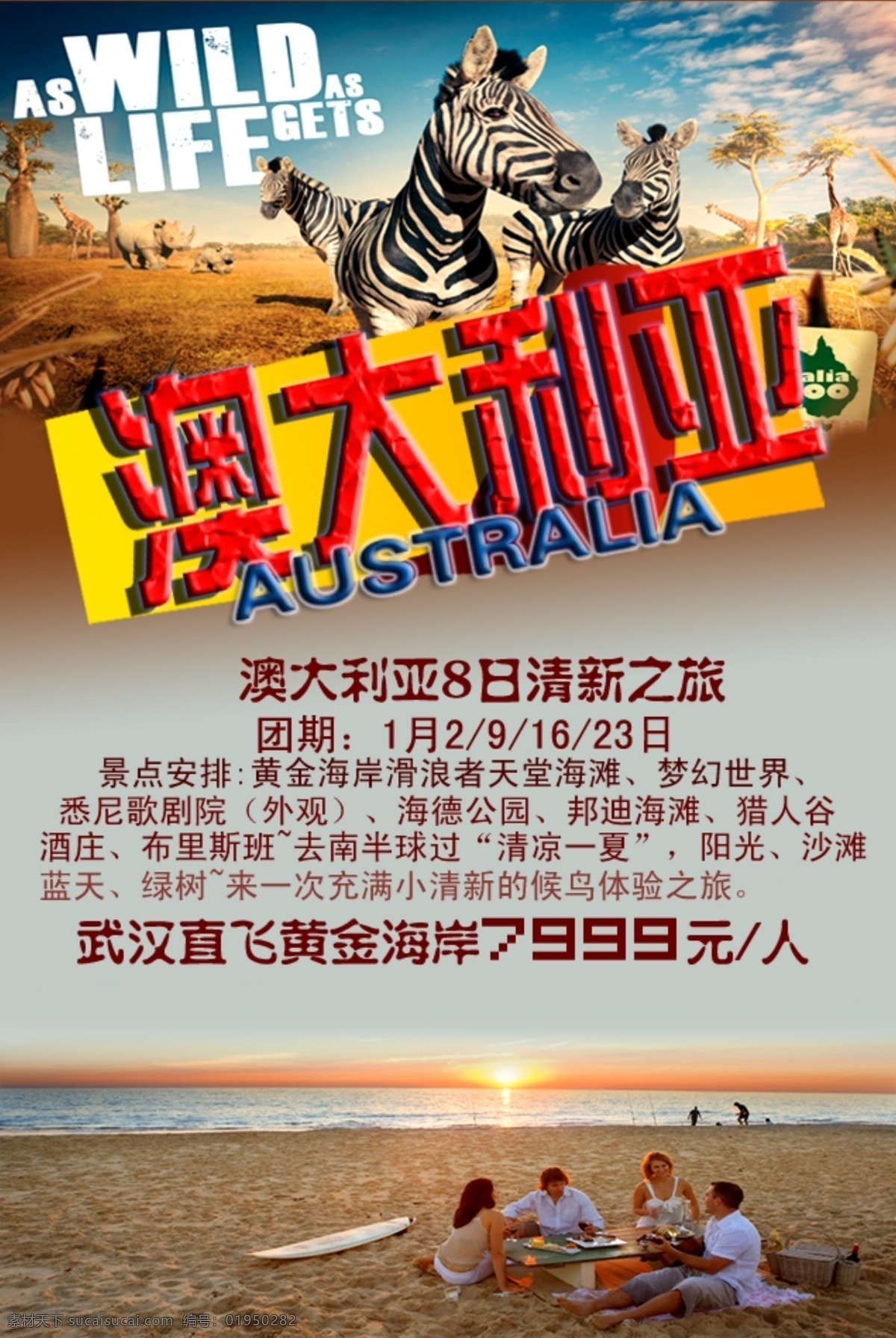 澳大利亚旅游 澳大利亚 旅游图 海报 动物 灰色
