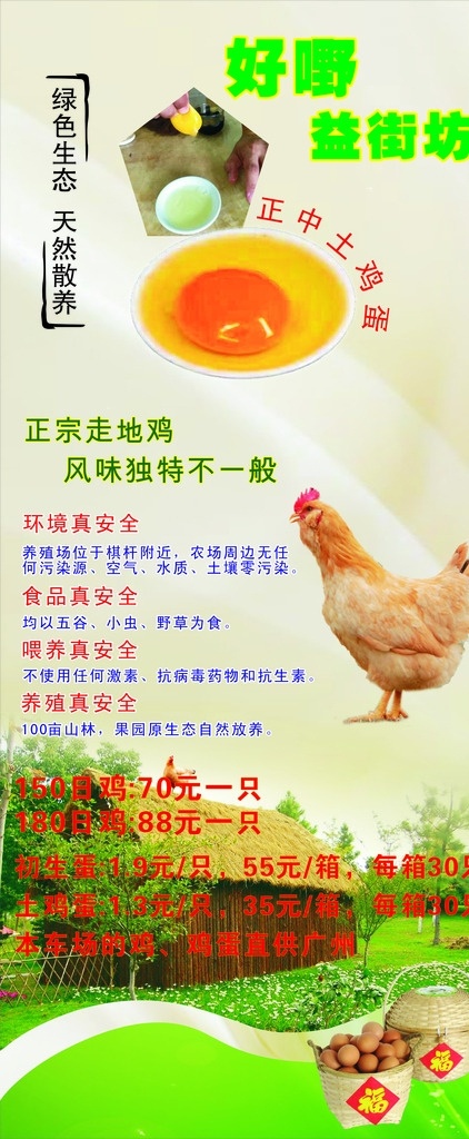 土鸡蛋展架 鸡蛋饲养 土鸡蛋包装 鸡蛋展板 鸡蛋促销 鸡蛋展架 鸡蛋包装盒 土鸡蛋广告 土鸡蛋设计 展板模板