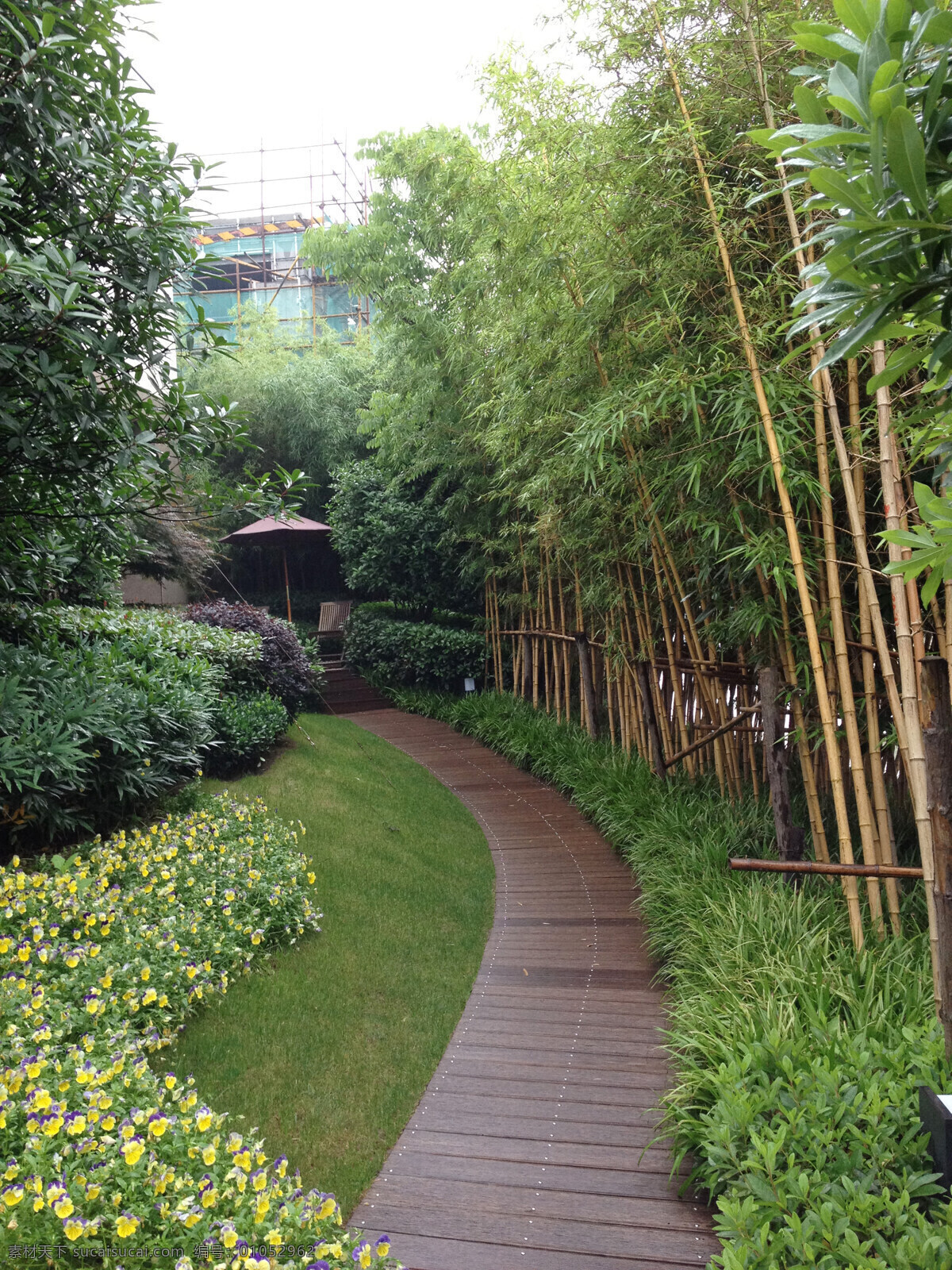 楼盘景观带 小区 景观 园林 园艺 草 树 木伐 木地板 竹林 住宅 楼盘 自然景观