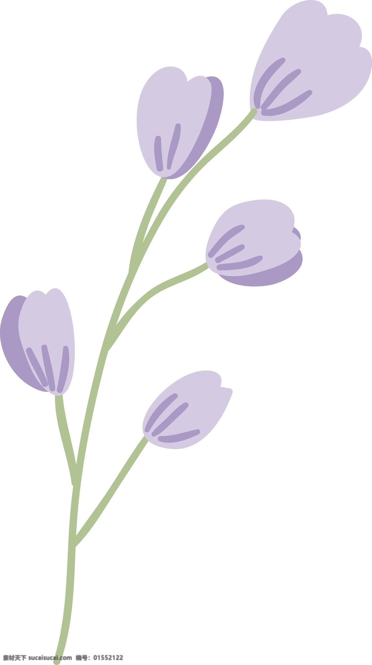 紫 馨 花束 矢量 花蕊 紫色 矢量素材 设计素材 平面素材