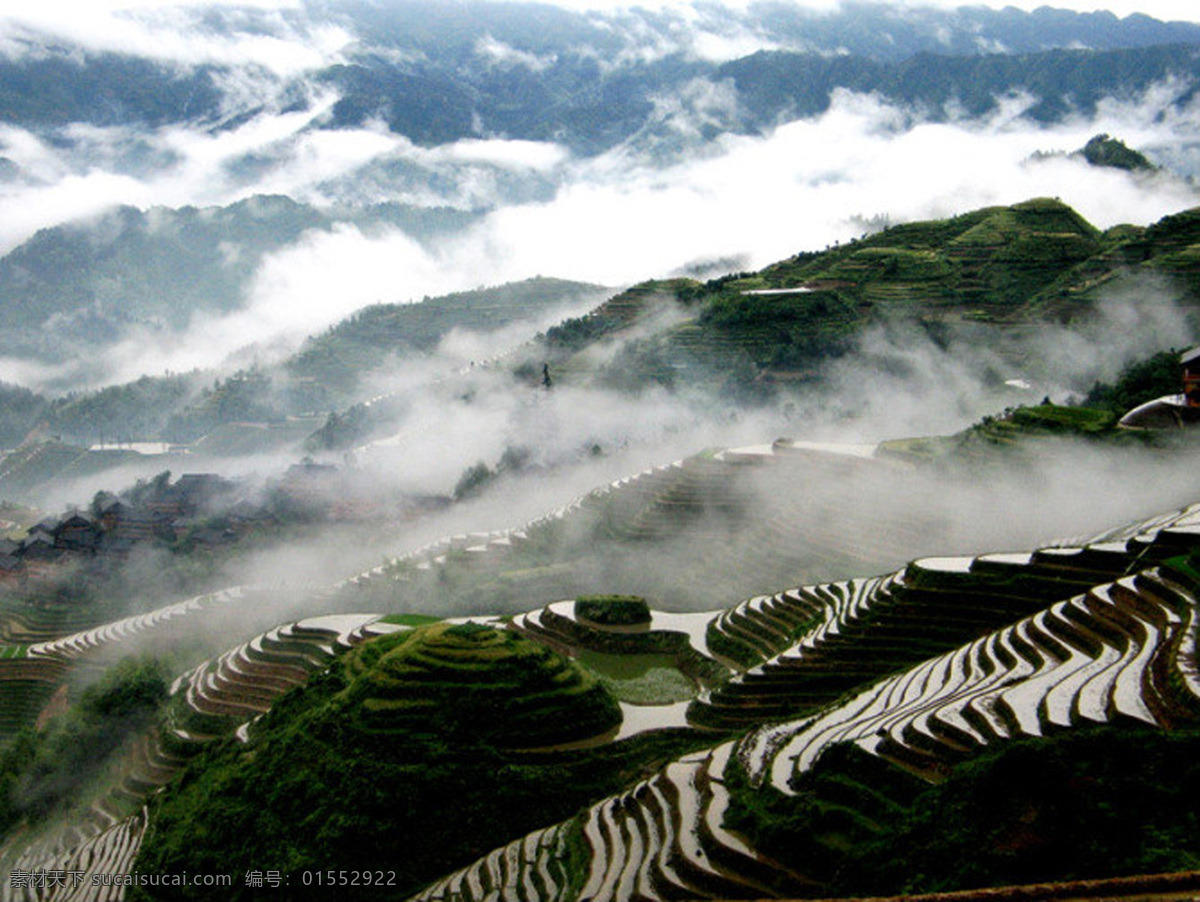 梯田 龙胜 龙脊 韶乐 景区 观景台 云海 田园 景观 美景 摄影自然景观 田园风光 自然景观