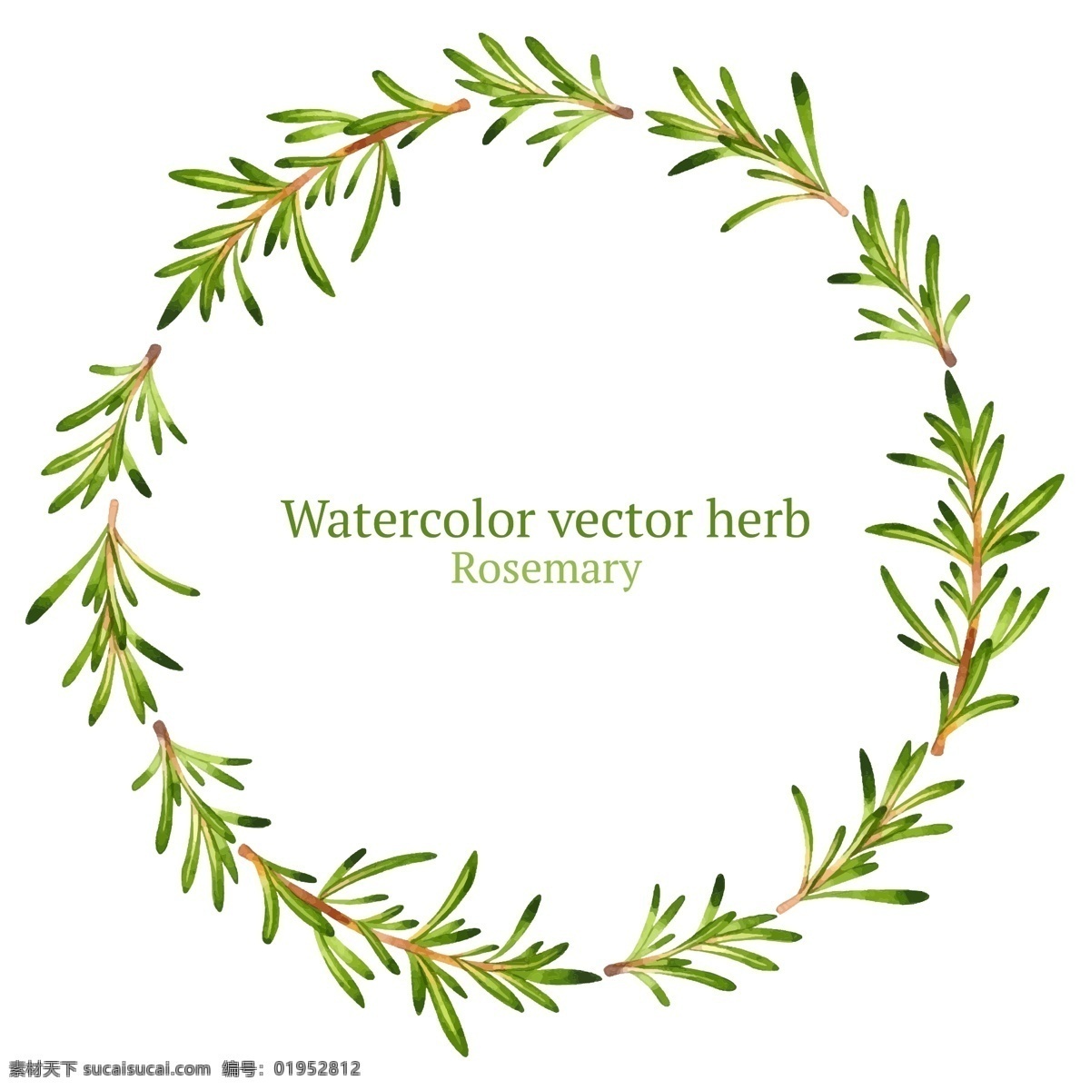 水彩 绘 植物 边框 绿叶 手绘 水彩绘 纹理
