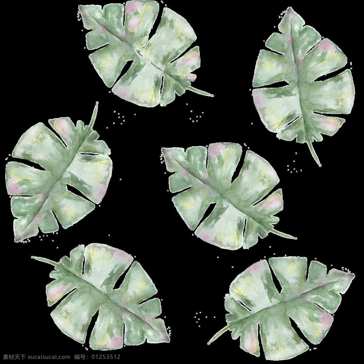 绿色 手绘 植物 叶片 透明 手绘图 透明素材 装饰素材