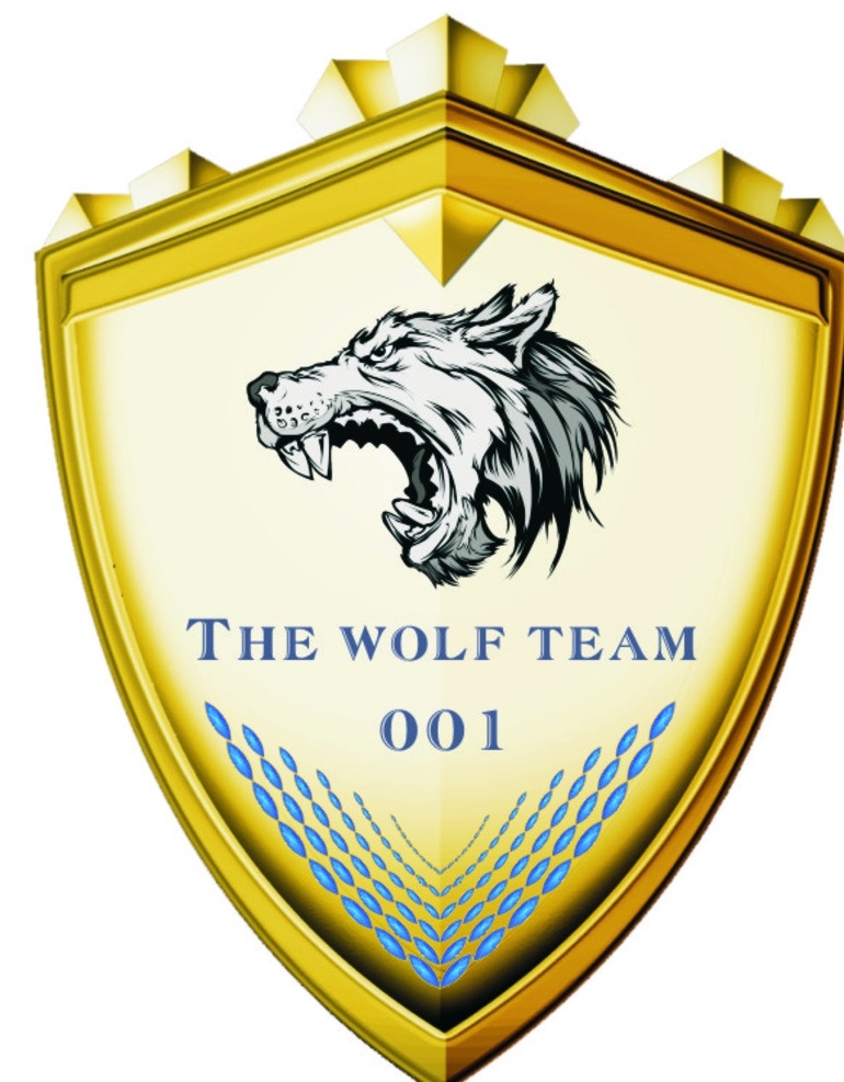 徽章 战狼队 狼头 胸牌 金属徽章 标志图标 其他图标