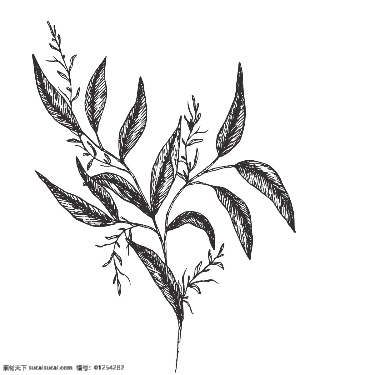 简笔 绘画 植物 花朵 图谱 简约 线条 树枝 绘画设计 创意设计 草 黑色速写 树叶
