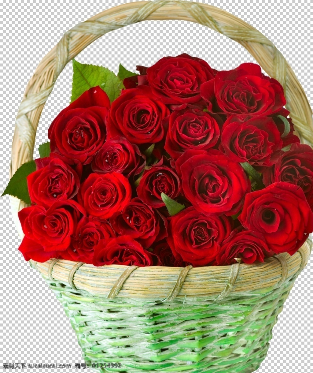 免抠素材 免抠 玫瑰 红玫瑰 花 鲜花 花儿 花朵 树叶 绿叶 特写 壁纸 美丽 漂亮 花草 玫瑰摄影 玫瑰图片 玫瑰素材 花类 生物世界 红色玫瑰花 玫瑰背景 鲜花背景 红色背景 水珠 情人节 情人节玫瑰 爱情 红色花朵 婚庆素材 植物