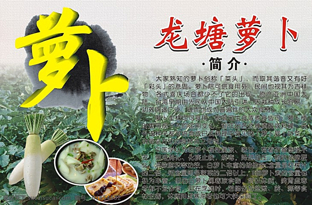 白萝卜简介 白萝卜 火锅店 简介 中药 功效 矢量图 白色