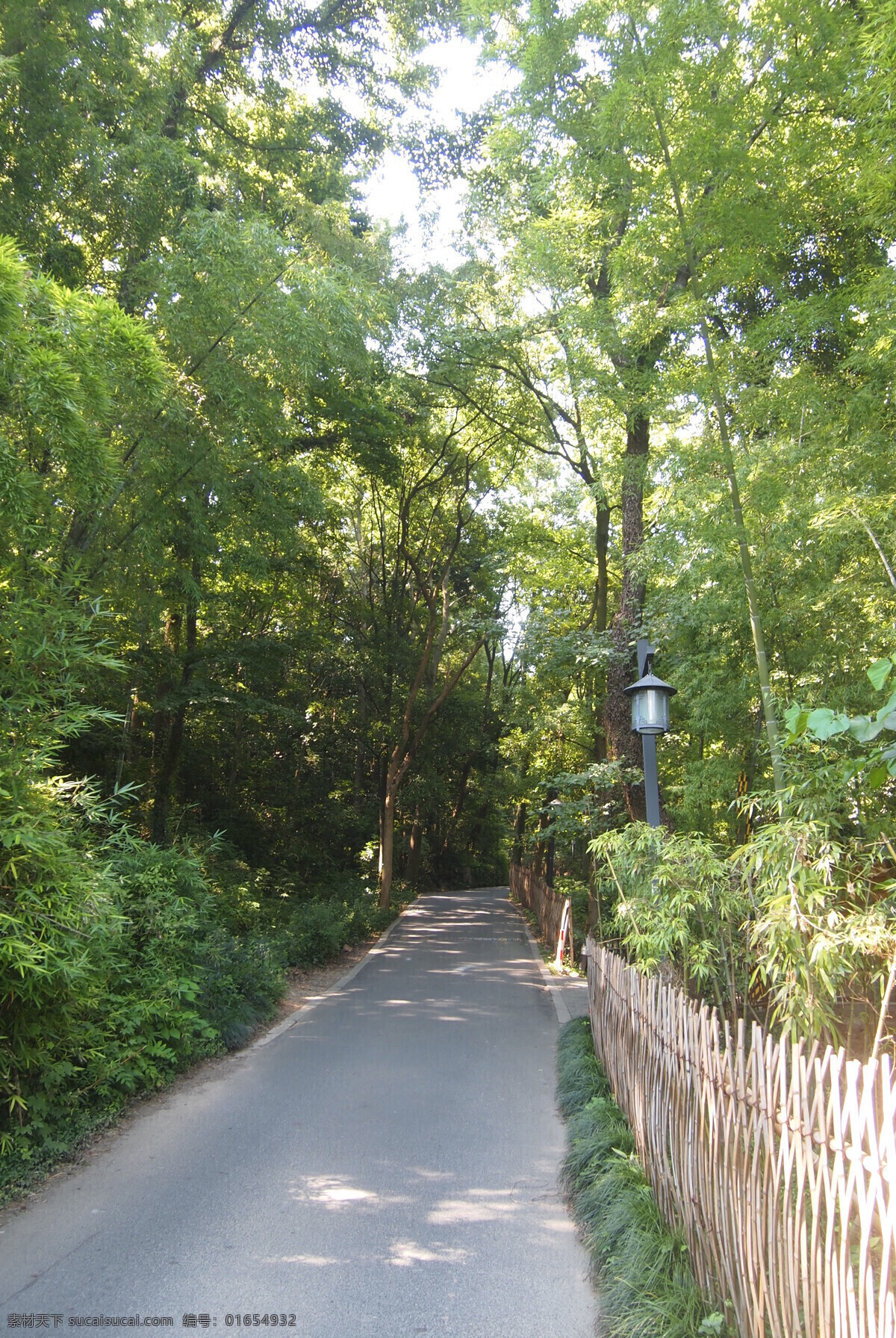 生态道路 自然 安缦法云 乡土 道路 竹篱笆 景观图片 建筑园林 园林建筑