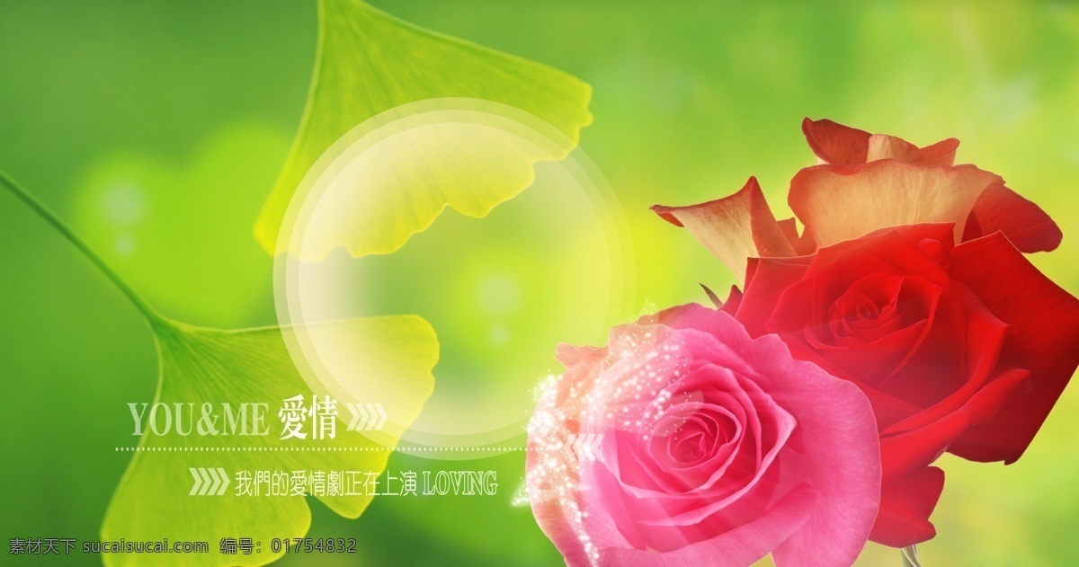 婚纱 模板 光圈 红色玫瑰 绿色心 银杏叶 源文件库 紫色玫瑰 我们的爱 情 模板下载 我们的爱情 星星人 psd源文件