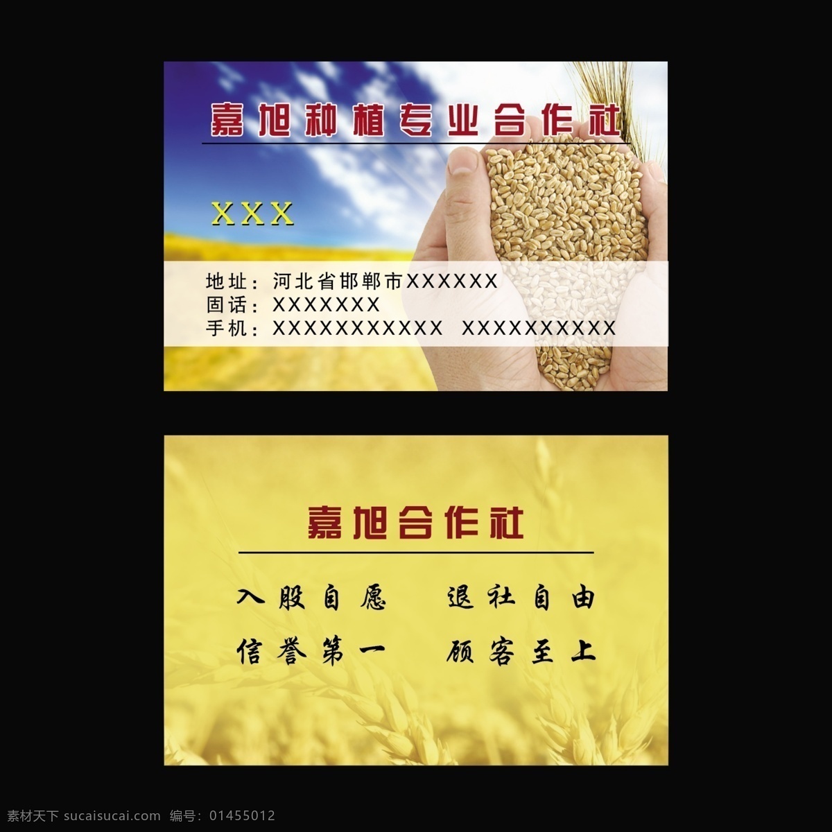 合作社名片 小麦 蓝天 合作社 名片 粮食 蓝天小麦 名片卡片 广告设计模板 源文件