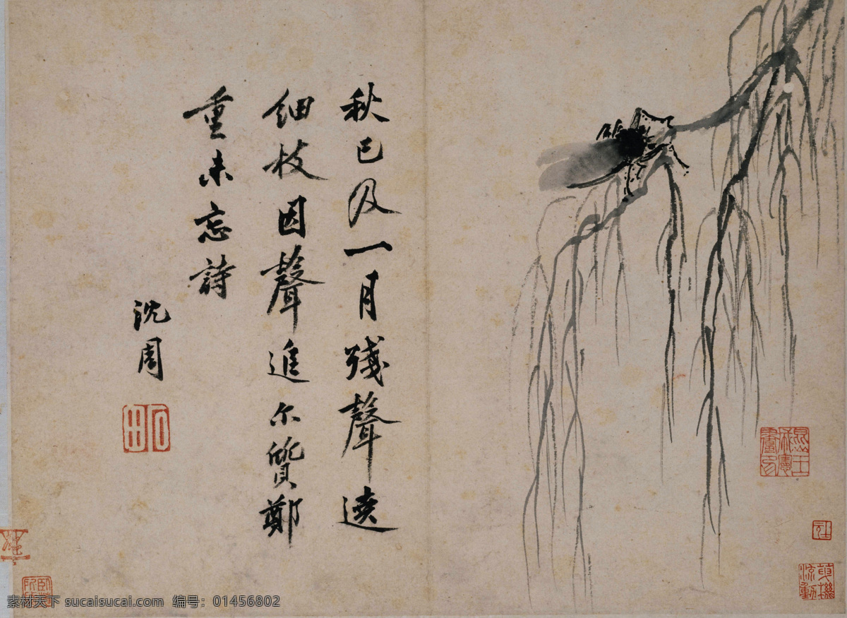 卧游图册 蝉 沈周 古画 古代绘画 国画 中国古画 书画 中国文化 国宝 山水画 诗画 中国古代绘画 绘画书法 文化艺术
