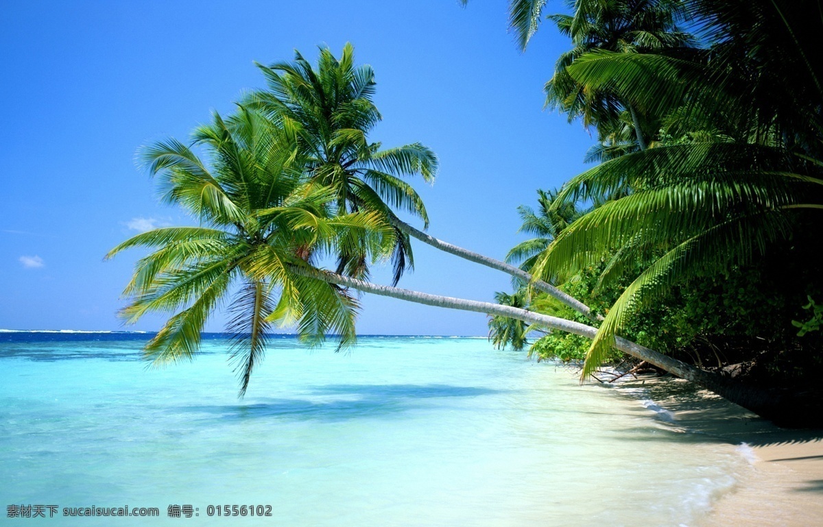 夏日海边风景 海边风景 自然风景 风景壁纸 海滩 海浪 沙滩 椰树 海边 风景 系列 二 自然景观