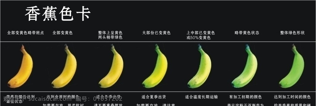 香蕉色卡 渐变香蕉 餐饮美食 生活百科 矢量