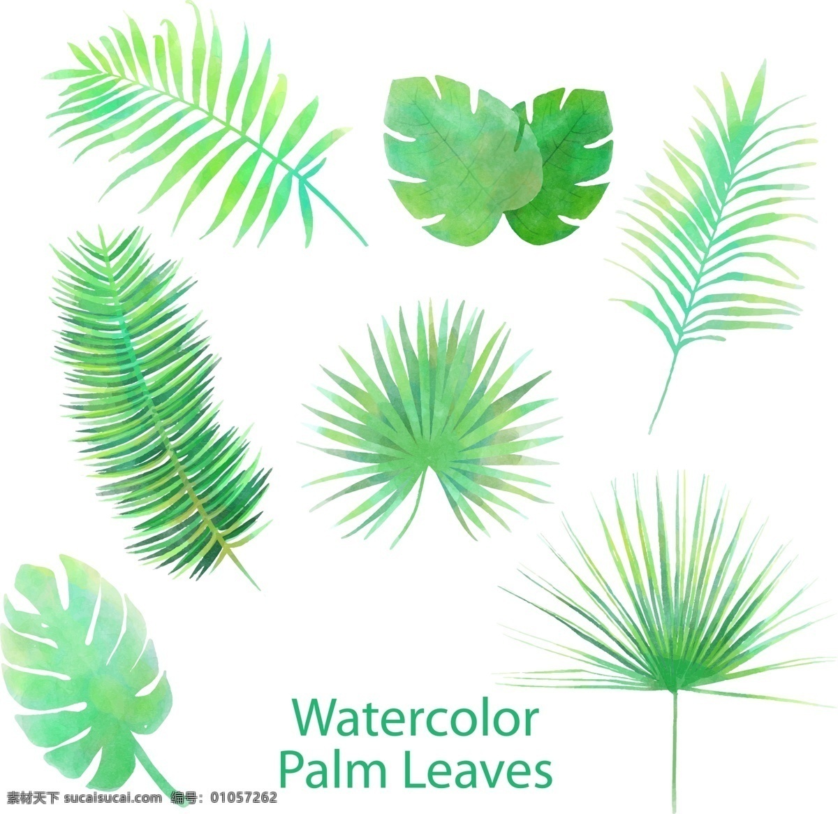 款 绿色 热带 植物 叶子 矢量 棕榈叶 热带植物 树叶 手绘 文化艺术 绘画书法