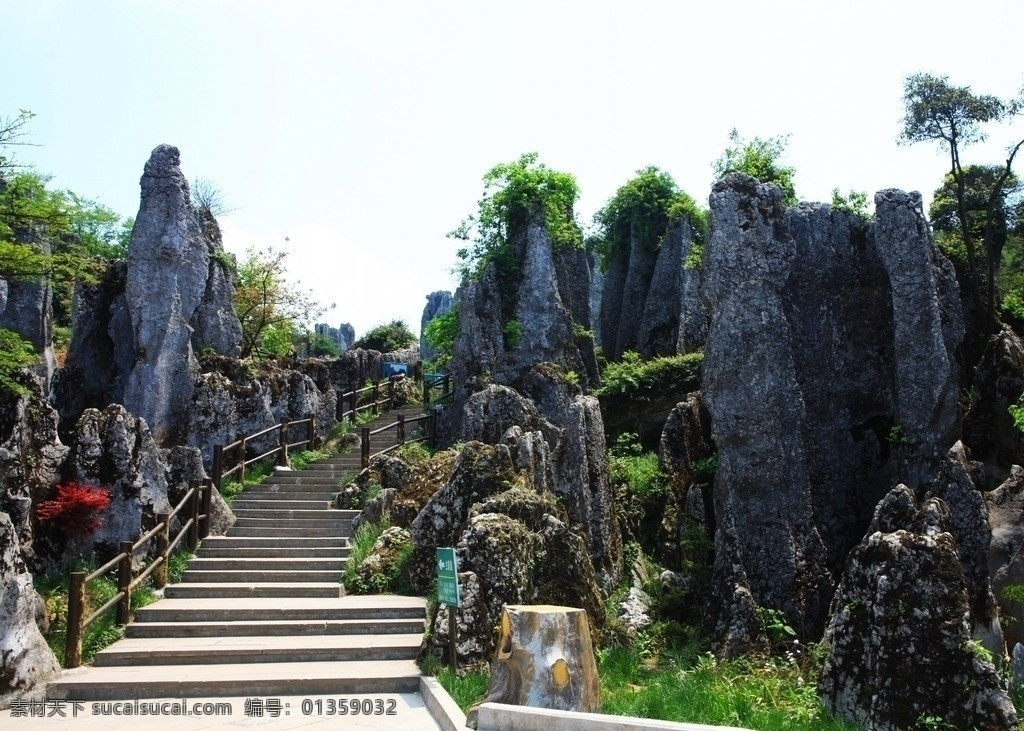 华蓥石林 华蓥山 石林 石阶 石林系例 自然风景 自然景观