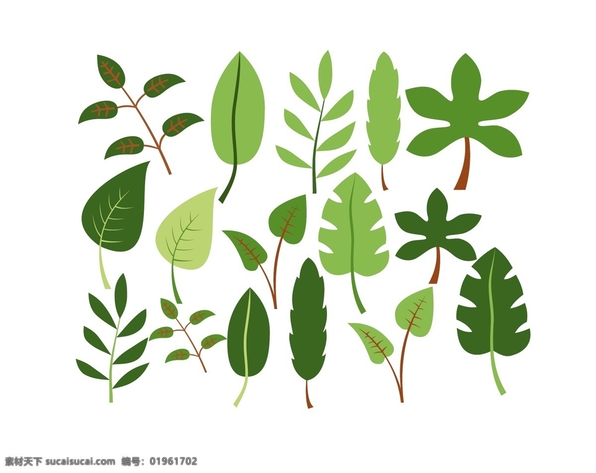各类 树叶 矢量图 植物 绿色树叶 矢量 线条 底纹边框 其他素材