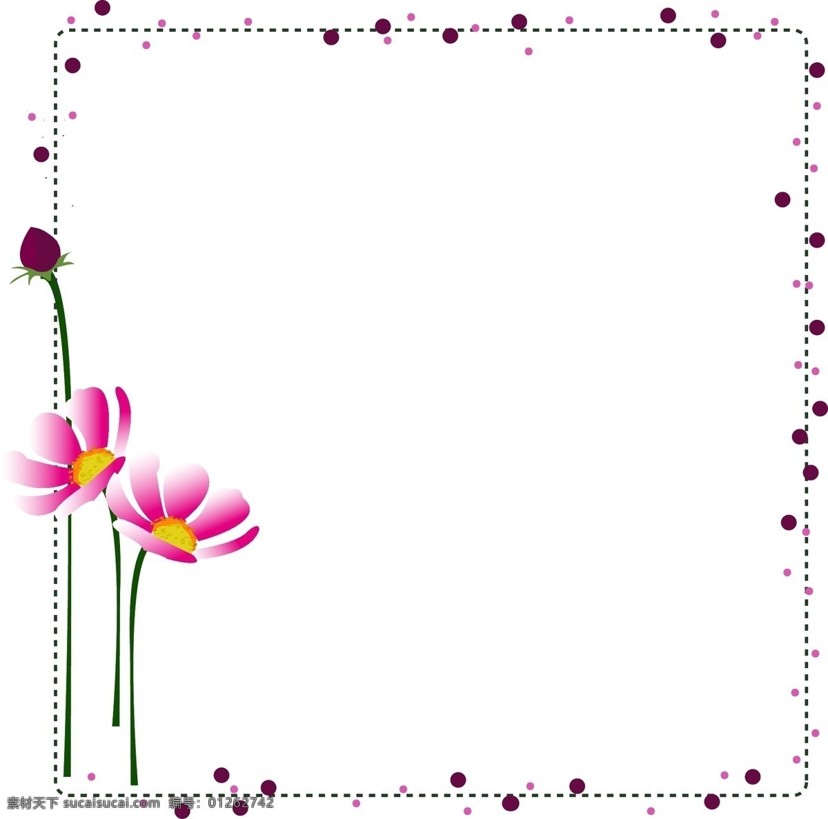 花朵 花苞 花枝 边框 植物