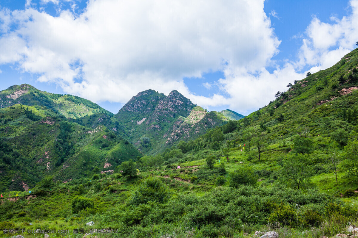 五台山 清凉山 紫府山 灵鹫峰 世界文化遗产 四大佛教名山 世界佛教圣地 国家重点风景 中华十大名山 国家地质公园 5a 山西 忻州市 繁峙县 五台县 旅游摄影 国内旅游 旅游