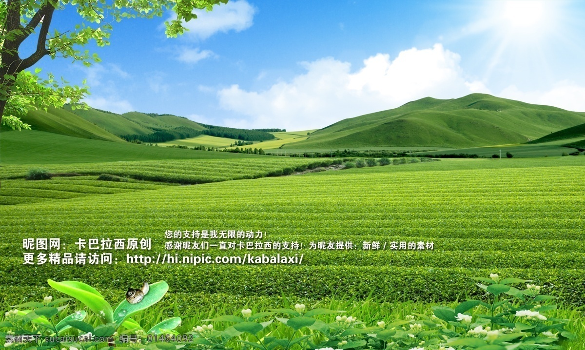 茶园 春天 夏天 蓝天白云 蓝天 白云 草地 草原 蓝天草地 草原风光 风景 绿 茉莉花 叶子 茶叶 茶庄 种植基地 绿色 蓝色 山恋 山峰 山 生机勃勃 活力 自然风景 山水风景 大自然 山水剪影 田园风光 山水画 天然 生态园 茶叶广告 背景 底图 展板 宣传栏 干净 清爽 绿色环保 白色 意境 优雅 淡雅 原创 分层 源文件