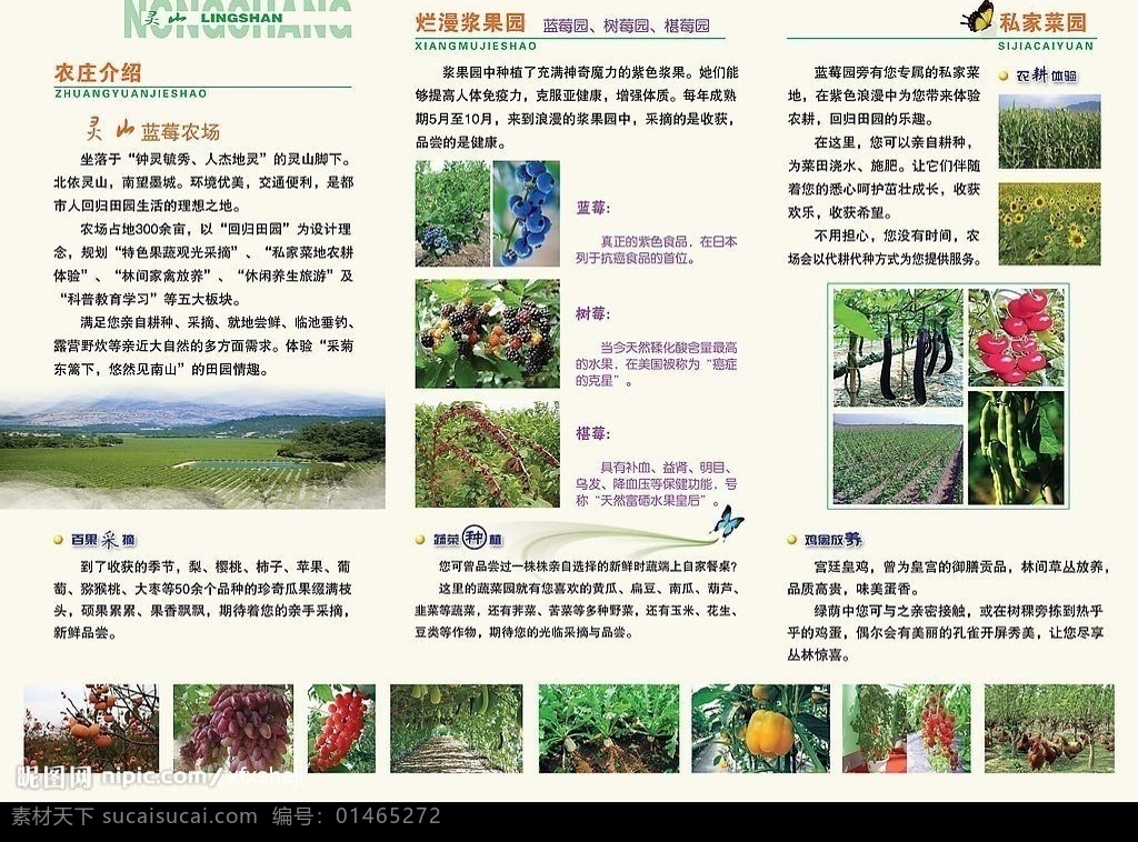 宣传折页 农场 折页 水果 葡萄 樱桃 柿子 绿地 蔬菜 菜地 蓝莓 树莓 农耕 家禽 蝴蝶 菜园 灵山 广告设计模板 画册设计 源文件库