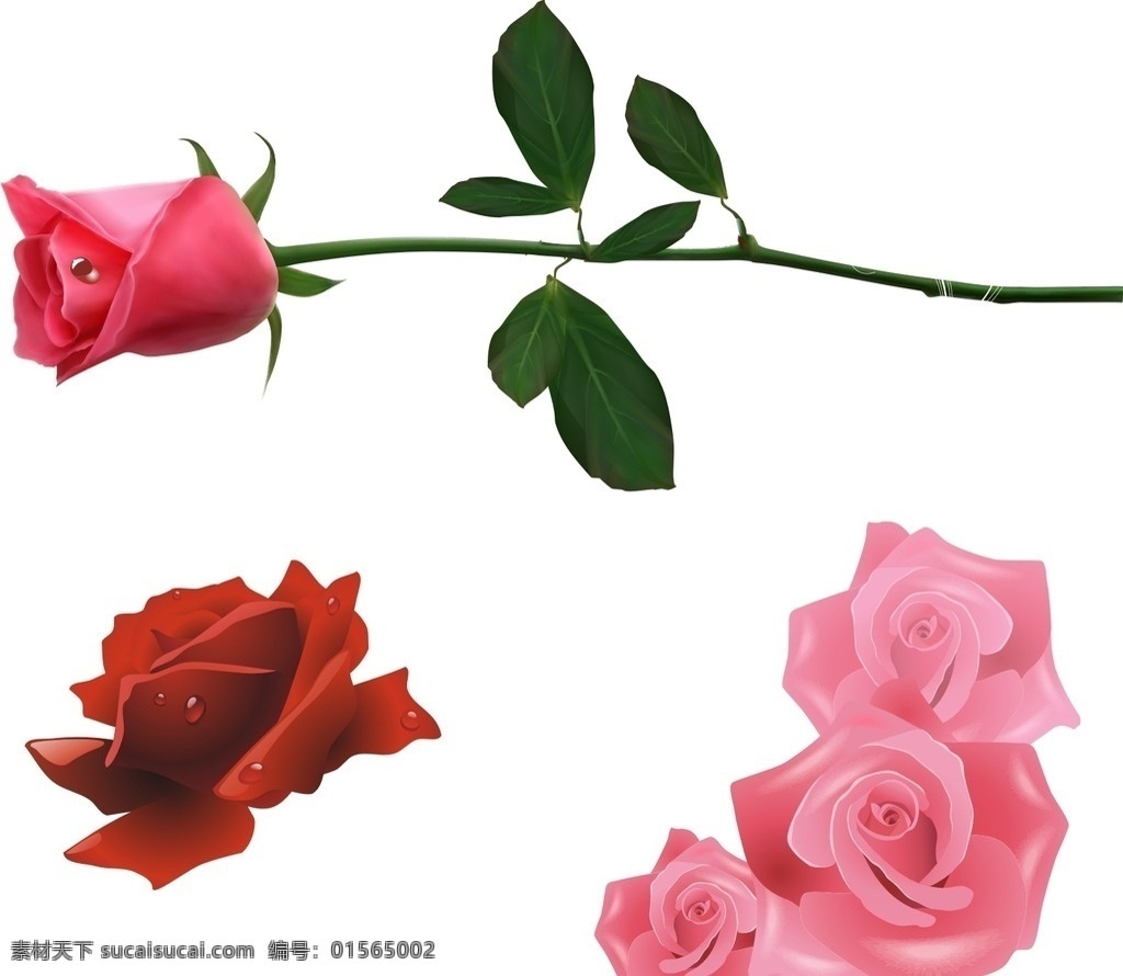 一枝玫瑰花 红玫瑰 一支红玫瑰 玫瑰 花卉 花朵 鲜花 情人节 节日 玫瑰花素材 红色玫瑰 红色玫瑰花 矢量玫瑰花 玫瑰花 玫瑰素材 盛开的花卉 爱情 红色 情人节素材 红玫瑰素材 矢量素材 矢量 露水玫瑰 玫瑰花朵 情人节元素