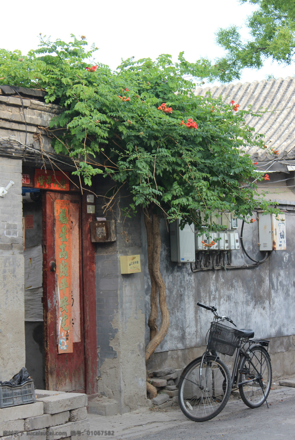 北京胡同 北京 四合院 植物 老式自行车 大红门 旅游摄影 国内旅游