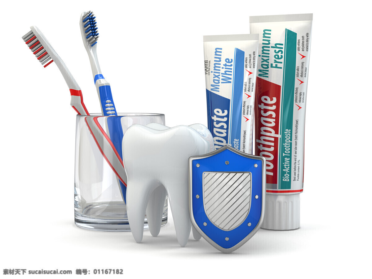 金牌 品质 牙刷 牙膏 牙齿模型 牙科 牙齿保健 医疗卫生 人体器官 生活用品 生活百科