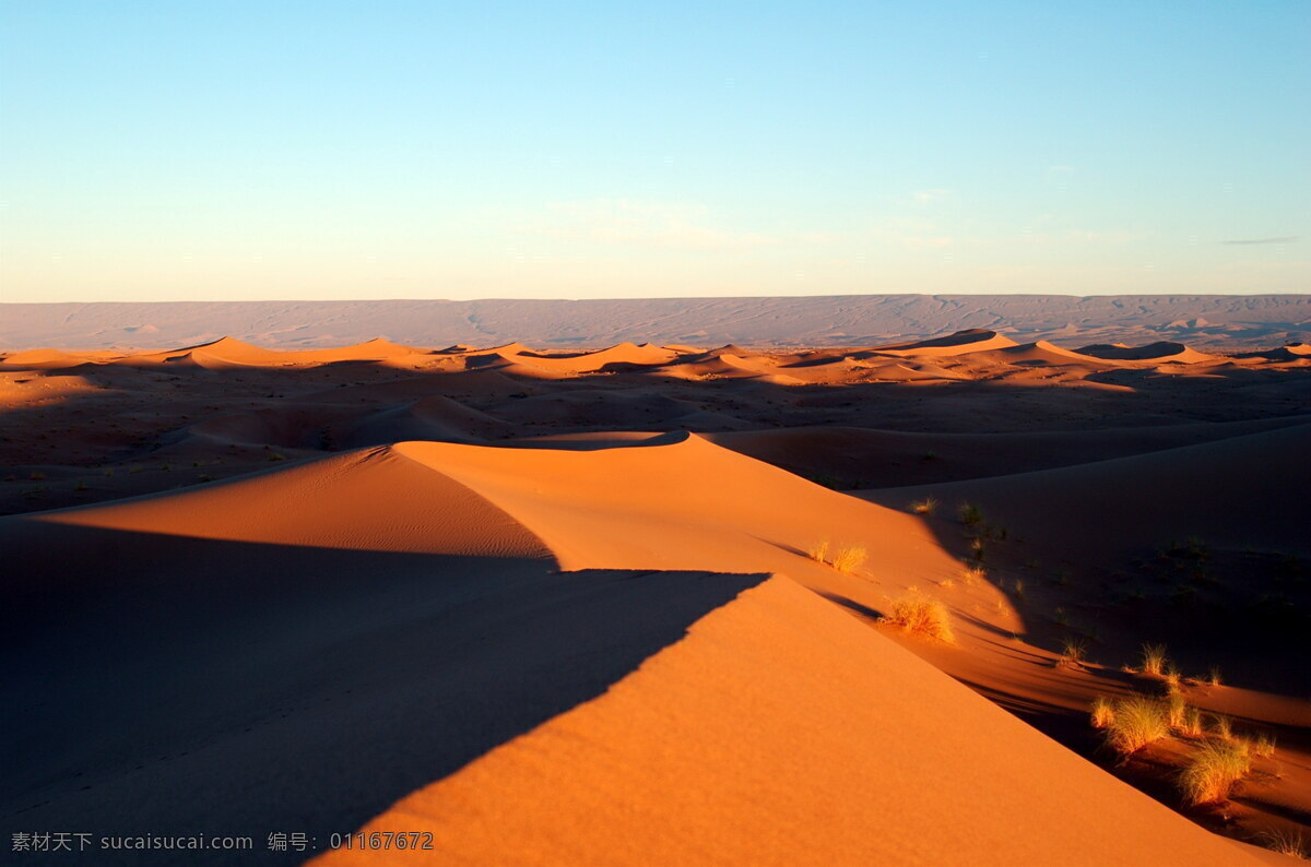 高清 金色 沙漠 风景 金色沙漠 荒漠 沙子 沙丘