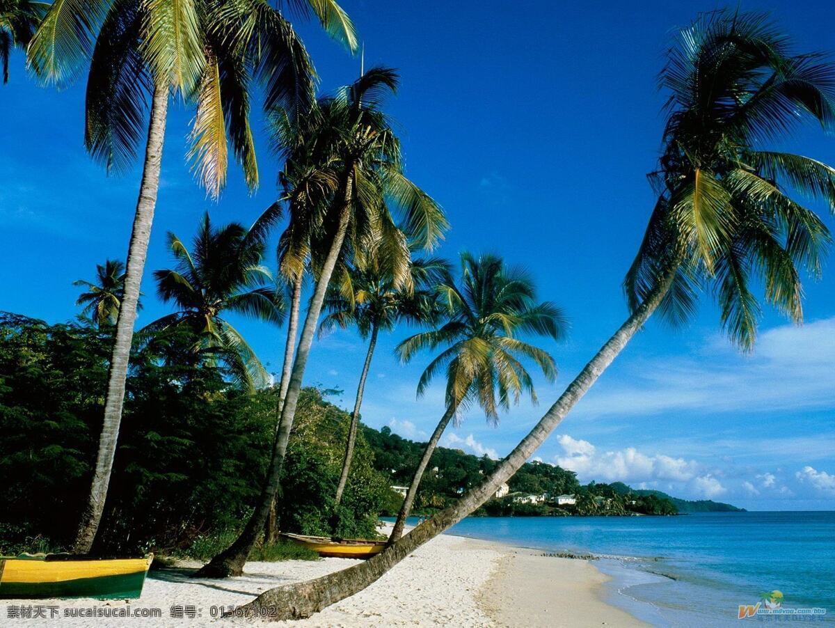 马尔代夫 国外旅游 海边 海滩 海洋 蓝色 蓝天 旅游摄影 椰树 小船 椰子 热带风景 psd源文件