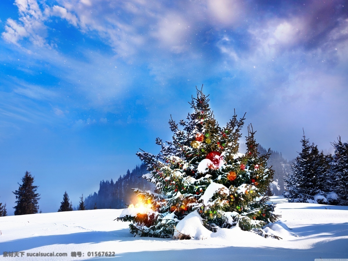 蔚蓝星空 圣诞树 白雪大地 节日树 圣诞节 圣诞背景图 绿树 文化艺术 节日庆祝