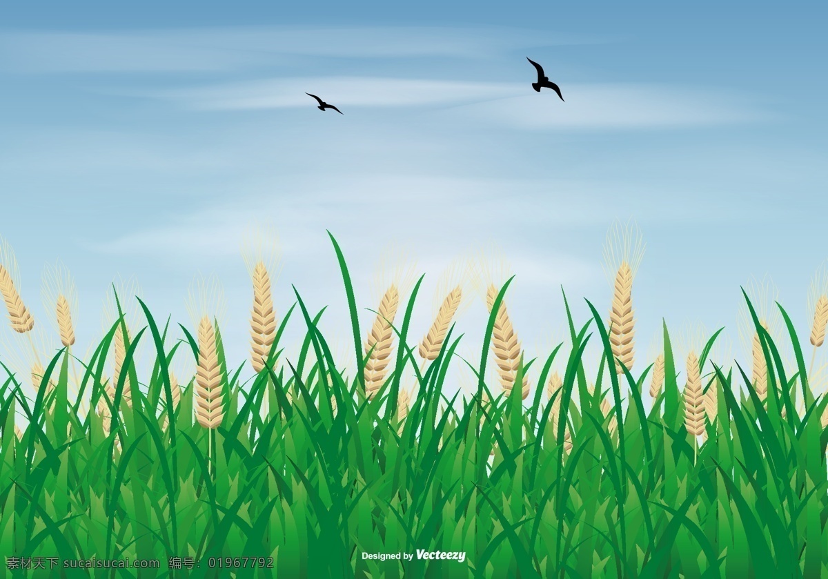 农作物 老鹰 矢量 农场 鸟 绿色 草地 矢量素材 稻子 麦子