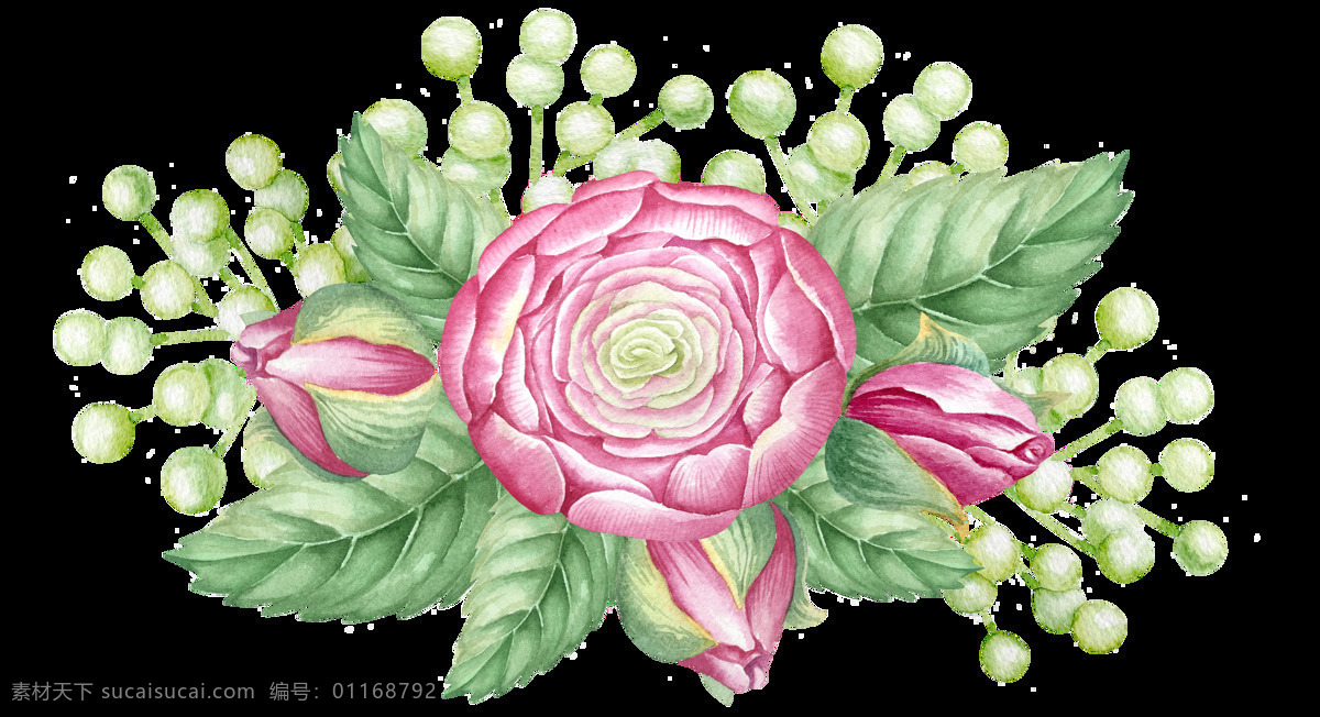 大 芬 花蕊 卡通 透明 粉红 绿色 透明素材 免扣素材 装饰图案