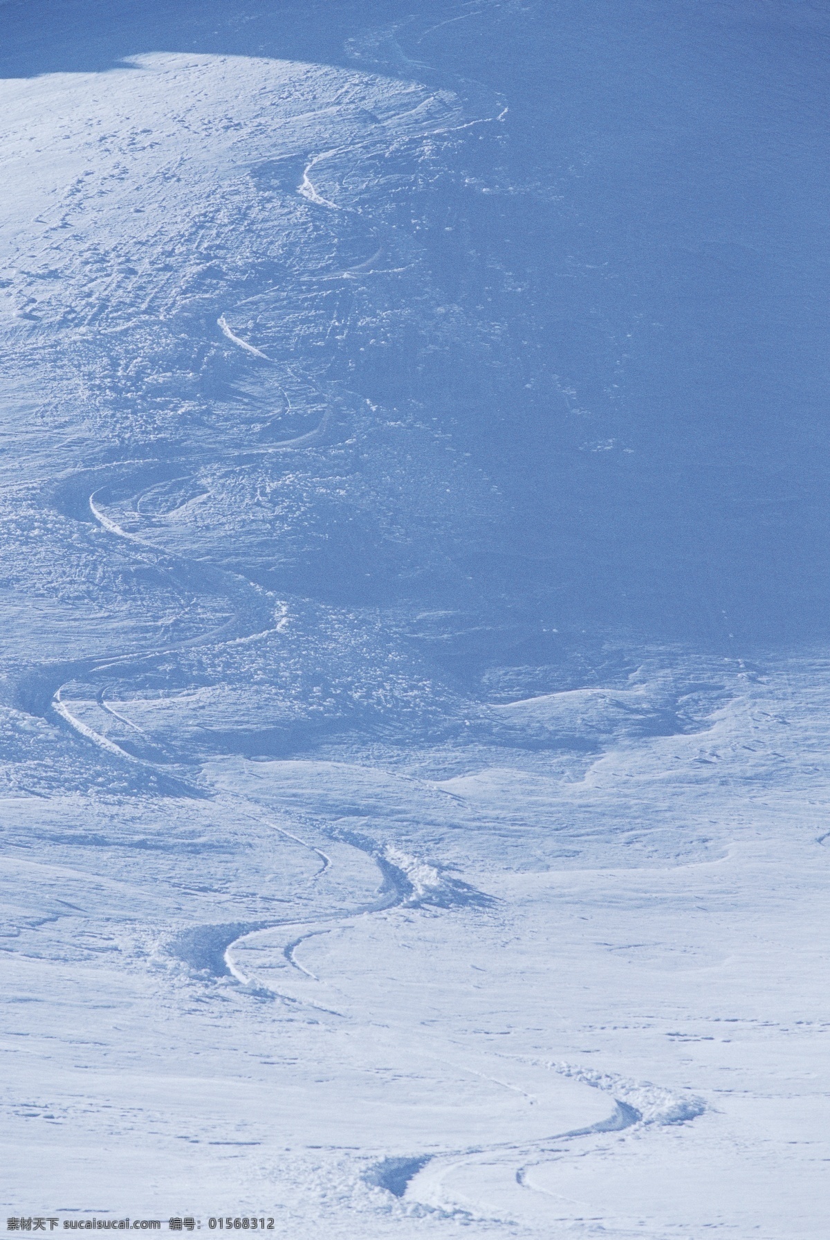 滑雪场 雪地运动 划雪运动 极限运动 体育项目 痕迹 雪山 风景 摄影图片 高清图片 滑雪图片 生活百科
