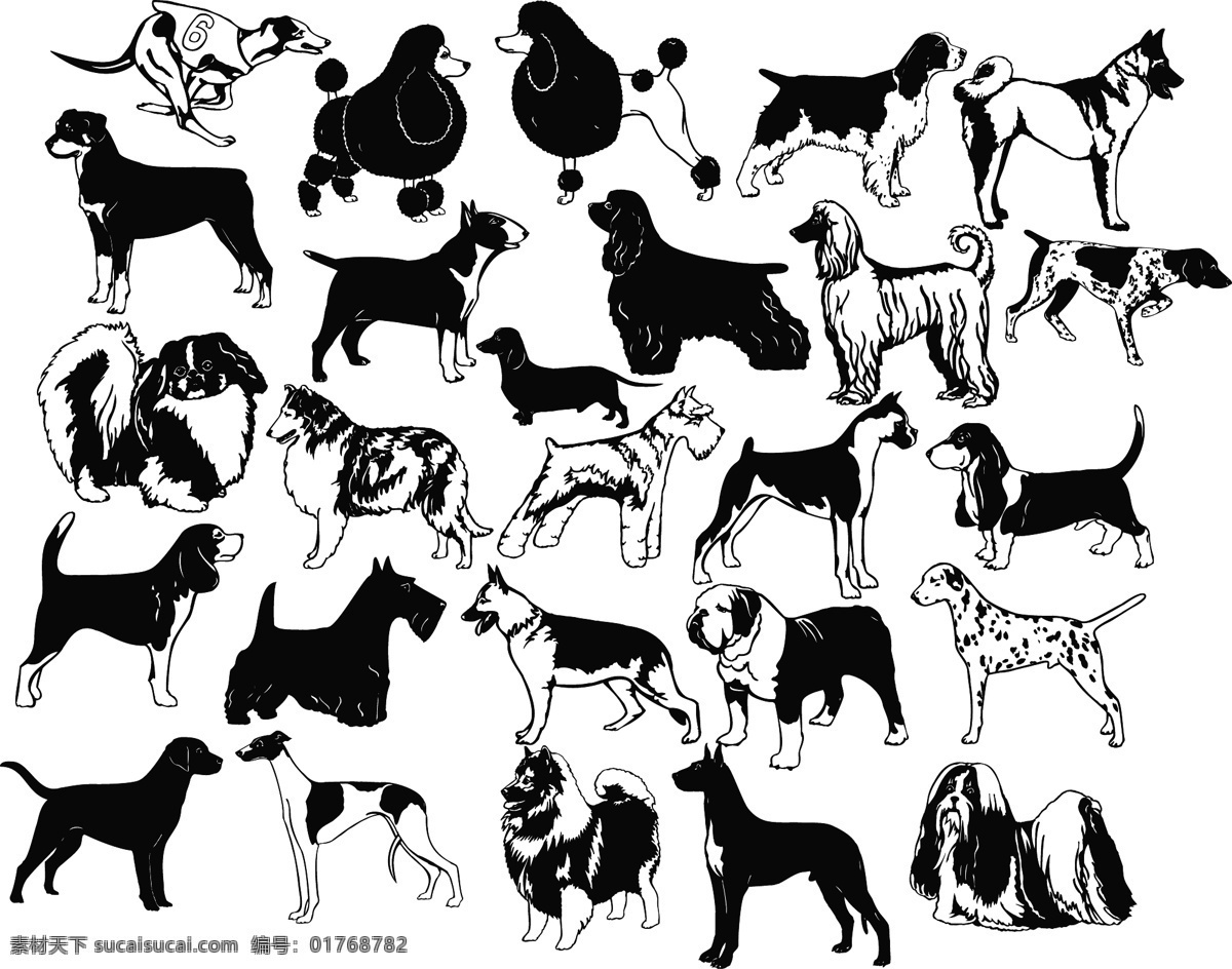 各种 黑白 犬 类 矢量 斑点狗 宠物狗 狗 矢量动物 犬类 金毛犬 矢量图 其他矢量图