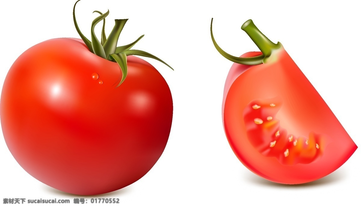 新鲜 有机 西红柿 矢量图 蔬菜 透明元素 ai元素 免抠元素