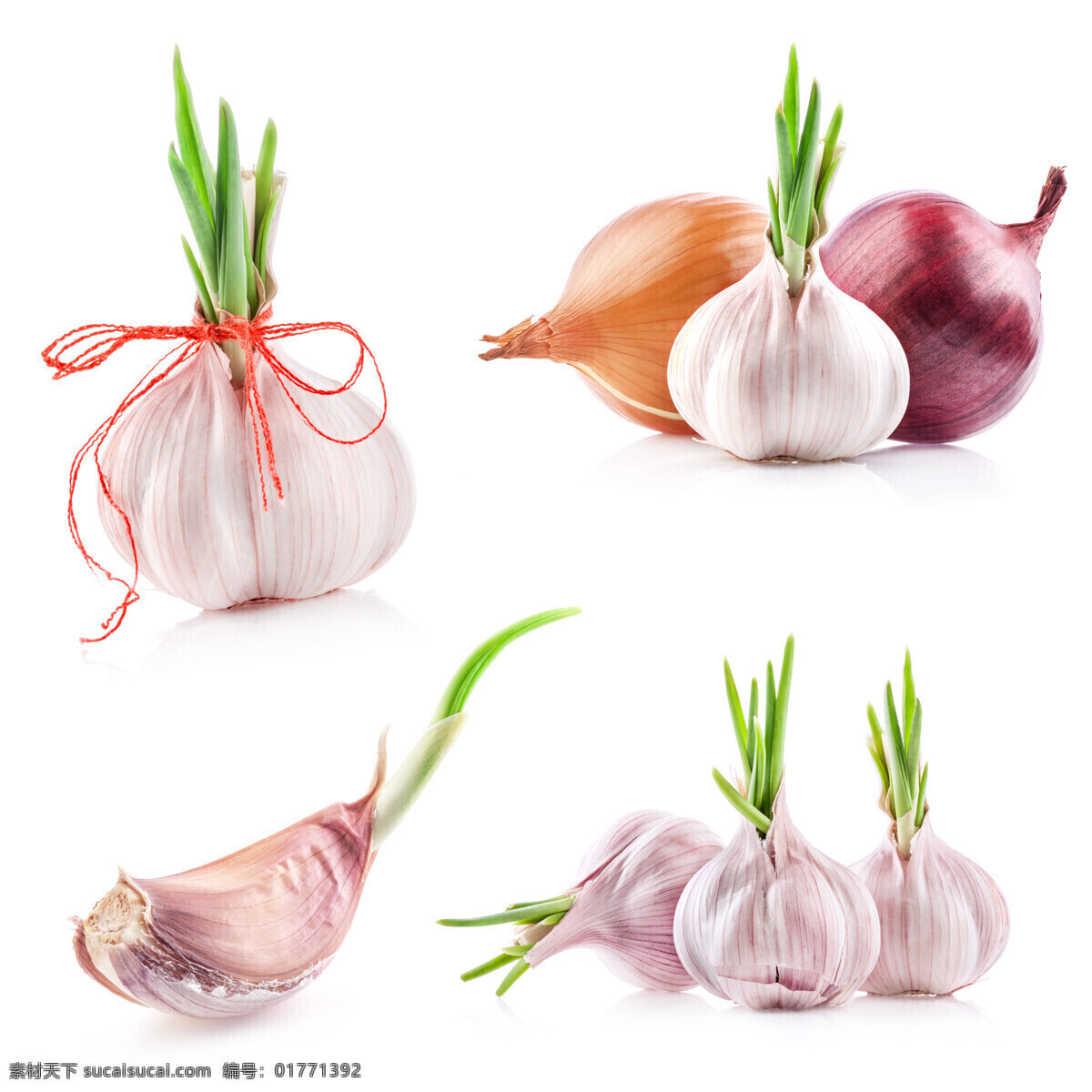大蒜 绿叶 马铃薯 茄子 生物世界 食材 蔬菜 洋葱 土豆 新鲜蔬菜 风景 生活 旅游餐饮