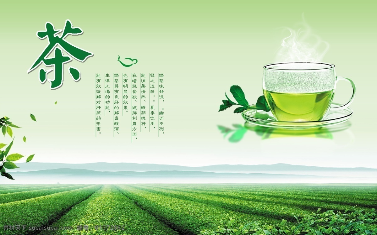 茶海报 风景海报 绿茶 绿叶 飘叶 田野风景 春天的气息 白色