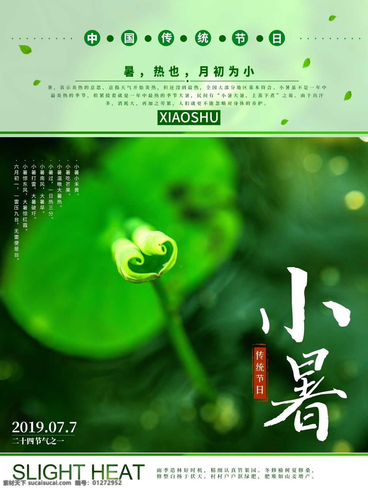 小暑海报 小暑 节气 二十四节气 夏季促销 小暑插画荷花 荷塘 荷花插画 小清新 清爽 简约 传统节气 节日 大暑 西瓜 柠檬 水果 冰块 新品上市 夏季上新 吃豆豆 吃西瓜 夏季海报 夏天海报 夏季 节气海报 小暑节气 小暑节气海报 小暑宣传海报 小暑节日