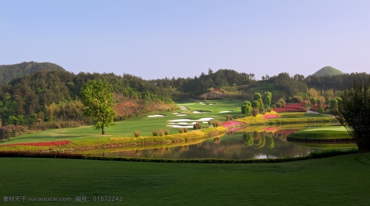 高尔夫球场 风景 球场 高尔夫 绿色 建筑园林 园林建筑 果岭 球道 草地 运动 黑色