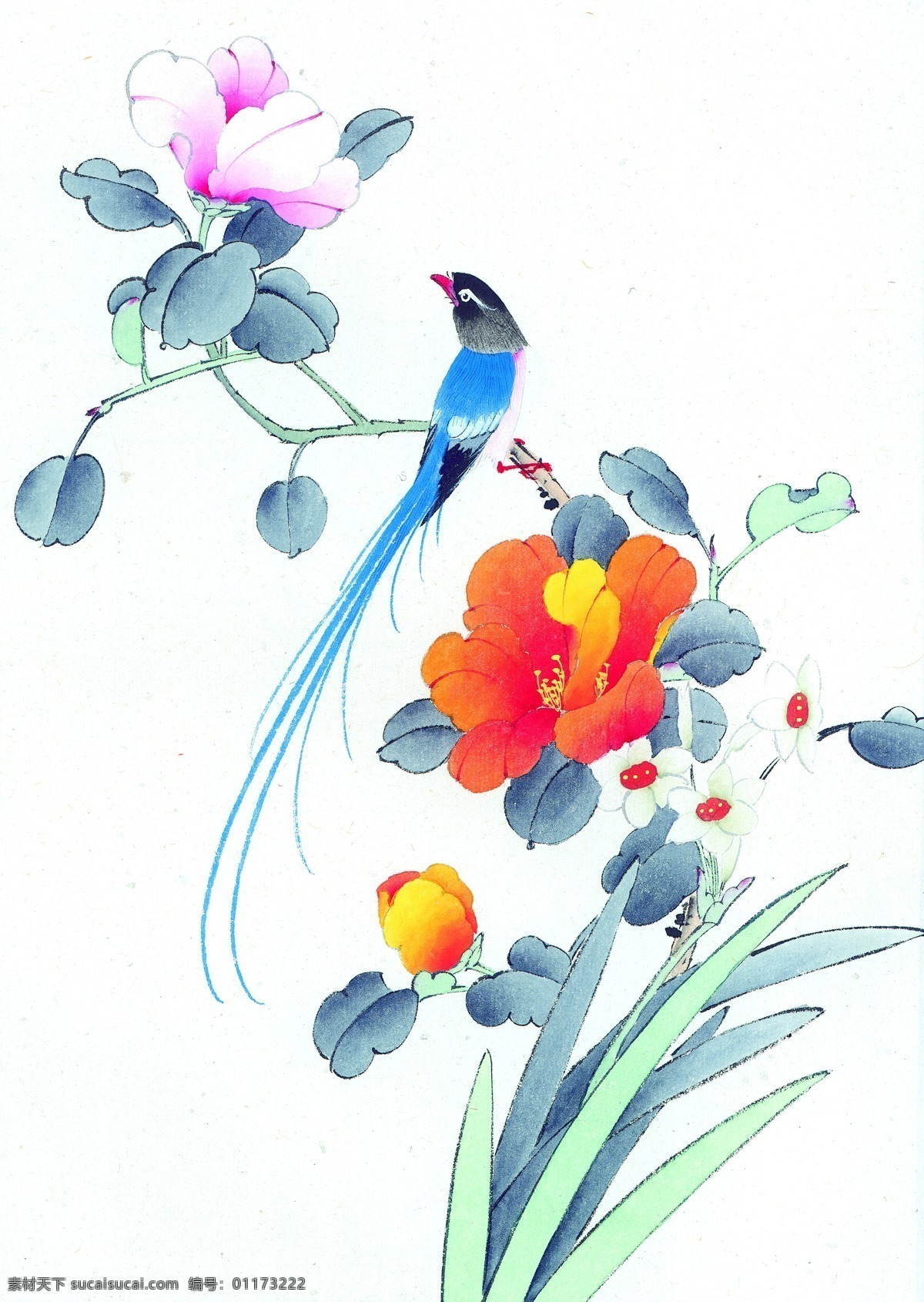 国画花鸟 国画花卉 国画牡丹 国画技法 国画 中国画 传统 绘画 花卉 花鸟国画 文化艺术 绘画书法