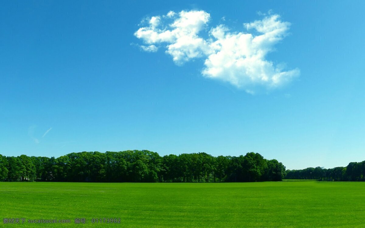 蓝天白云草地 风景 风景图 美景 风景照 美景照 大自然 自然 自然风景 自然风光 自然景观 蓝天 白云 草地 蓝天白云 池塘 湖泊 河流 房子 房屋 屋子 老房子 建筑 古建筑 花园 花坛 花丛 花海 草坪 古镇 天空 中国风 繁华 幽静 小村庄 村庄 村子 树木 大树 小树 流水 垂柳 景色 大自然风景