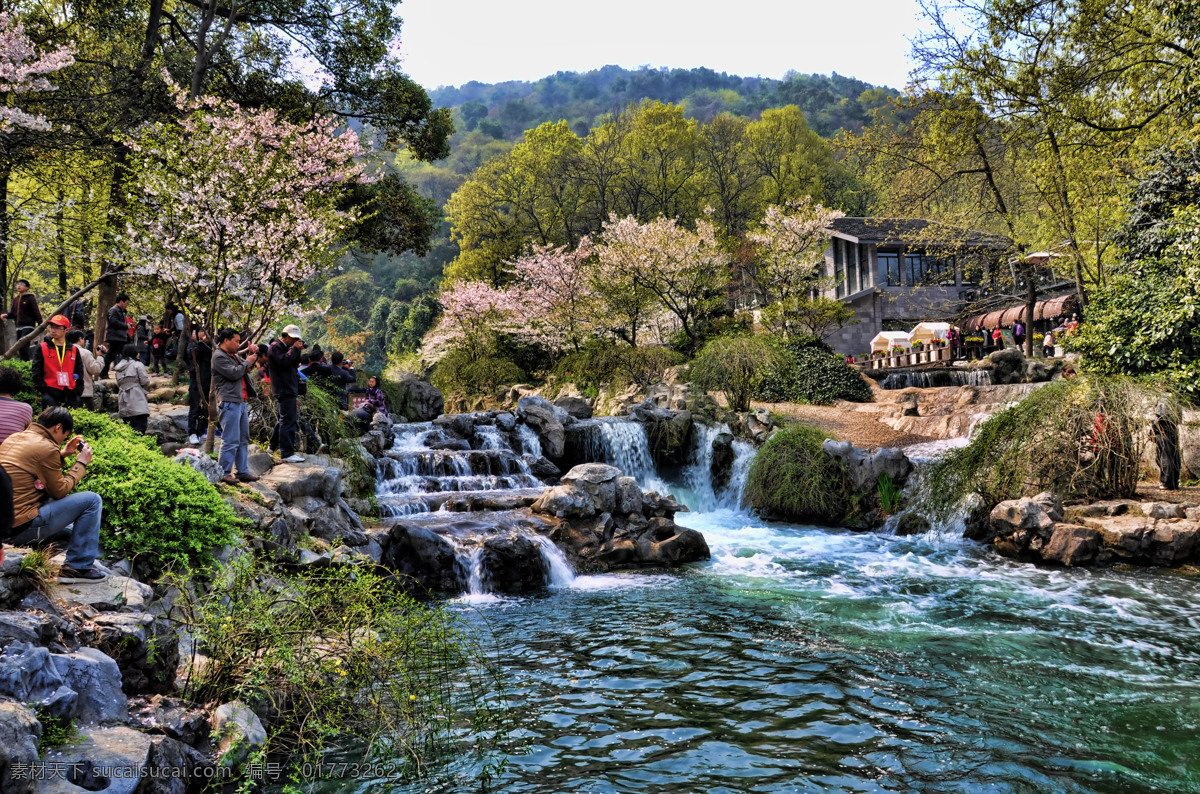 春光 春季 春色 春天 国内旅游 湖面 花开 流水 太子湾 公园 奔流 溪水 太子湾公园 溪流 山水 繁花锦束 园林 园艺 山谷 河谷 杭州西湖 花展 旅游摄影 psd源文件