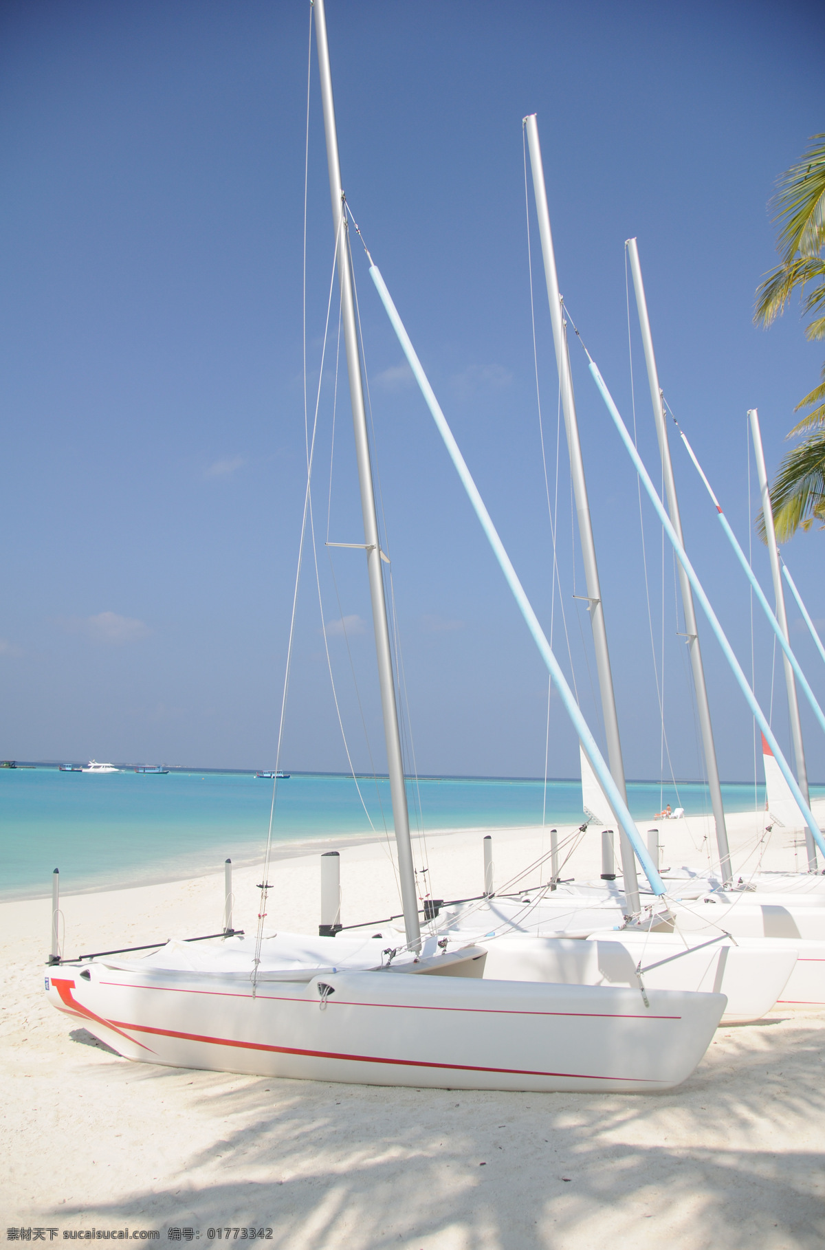 马尔代夫 帆船 国外旅游 海边 海滩 海洋 旅游摄影 蔚蓝