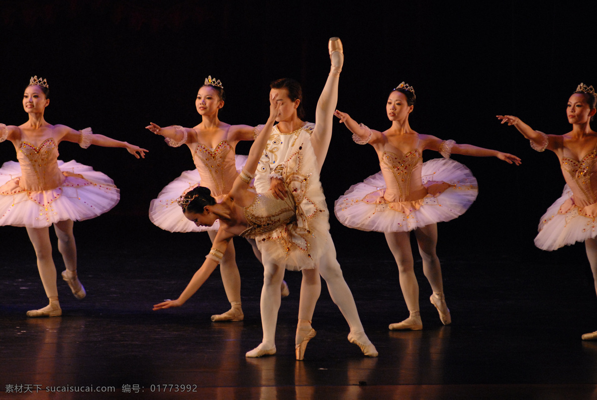 芭蕾舞 芭蕾 表演 俄罗斯 女 天鹅湖 跳舞 舞蹈 演出 舞者 舞姿 舞蹈音乐 文化艺术 psd源文件