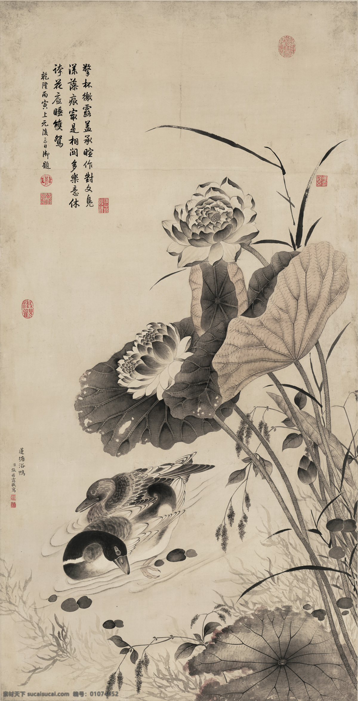 荷花 工笔荷花 国画荷花 国画鸭子 巨幅国画 高清花鸟 花鸟 高精度荷花 莲塘浴鸭图 张若霭 绘画书法 文化艺术