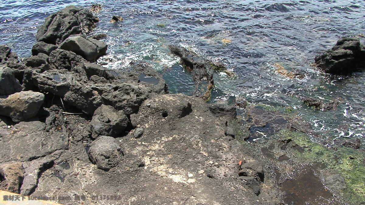 西西里岛 波 岩石 股票 录像 海岸 视频免费下载 意大利 水 岩石的海岸 其他视频