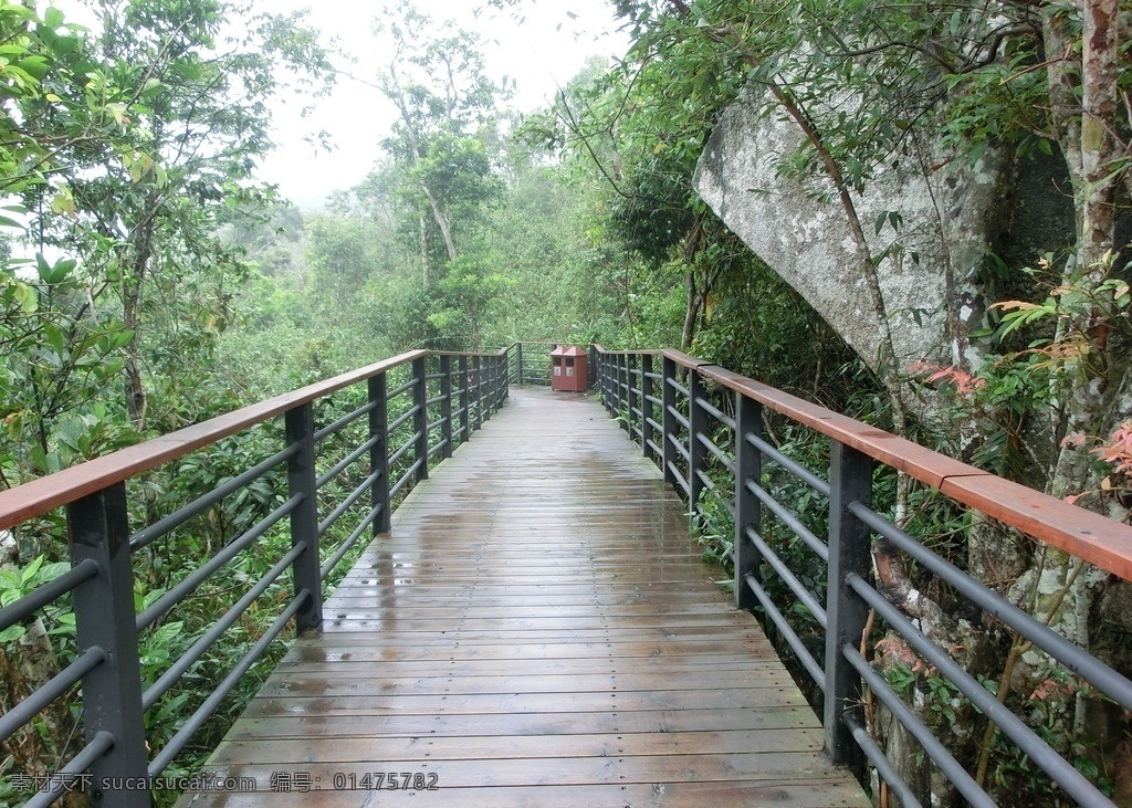 山水景观 风景 木平台 踏步 旅游风景 廊道 走道 台阶 扶手 景色 景观设计 后期素材 旅游摄影 国内旅游